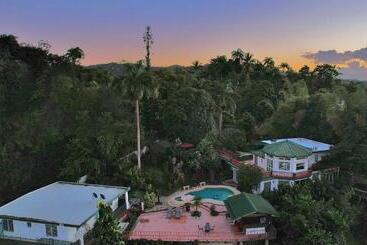 Pension Pancho S Paradise   Rainforest Guesthouse With Pool, Gazebo And View