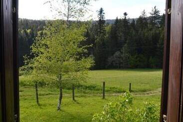 Mystic Forest Hostel