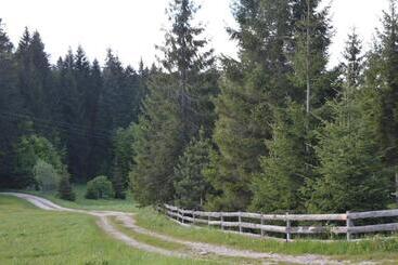 Mystic Forest Hostel