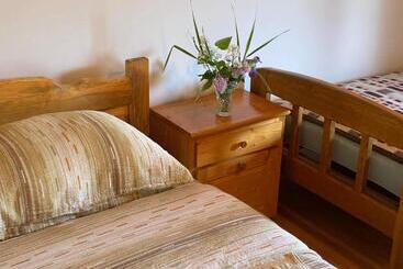 Mystic Forest Hostel