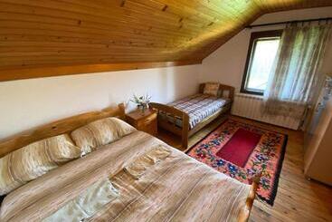 Mystic Forest Hostel