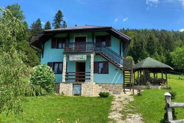 Mystic Forest Hostel