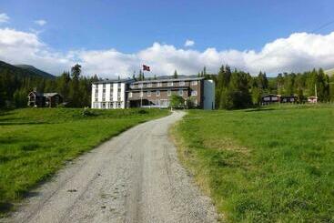 旅馆 Tronsvangen Seter