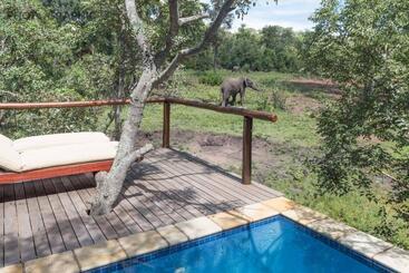 هتل Ndlovu Safari Lodge
