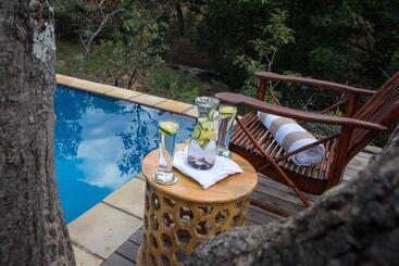 هتل Ndlovu Safari Lodge