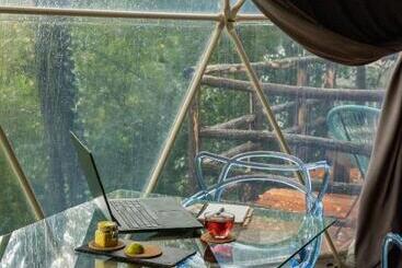 هتل Wine Space