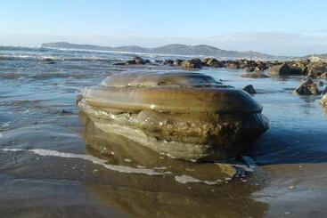 Moeraki Boulders Motel