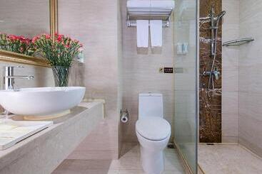 Vienna Hotel Shenzhen Pingdi
