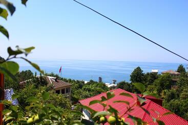 هاستل Guest House Lazika