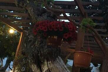 هاستل The Bunch Of Grapes Inn