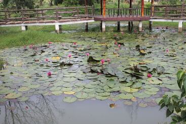 Doi Su Resort