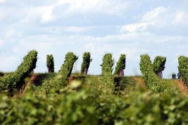 هتل La Residence Les Grands Vignobles