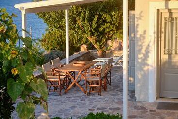 Little Bird Lesvos