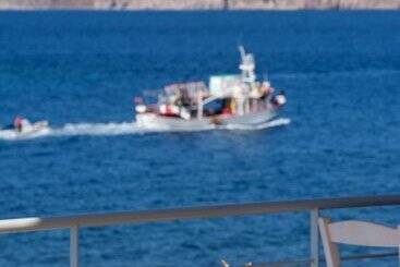Little Bird Lesvos