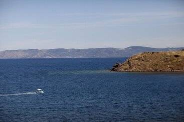 Little Bird Lesvos