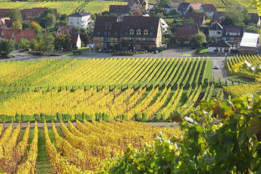 هتل Hôtel Le Riquewihr