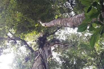 هتل La Selva Biological Station
