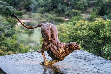 هتل Lejwe La Metsi Game Farm Pty Ltd