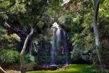 هتل Lejwe La Metsi Game Farm Pty Ltd