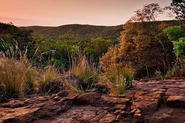 هتل Lejwe La Metsi Game Farm Pty Ltd