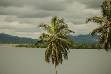 هتل Thaulle Ayurveda Resort   Yala