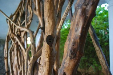 هتل Thaulle Ayurveda Resort   Yala