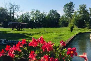 Pension Agriturismo Helianthus