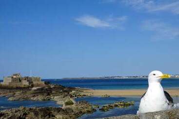 B&b Hotel Saint Malo Sud
