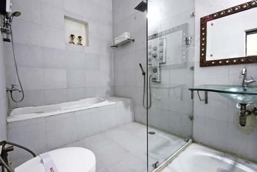 هتل Dolphinn Agra