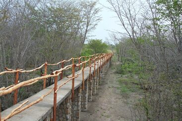 هتل Gwango Elephant Lodge