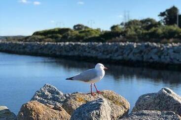 پانسیون Albany Foreshore Guest House
