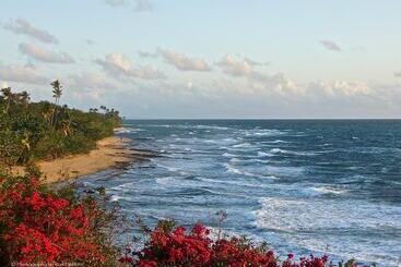Wave Coast