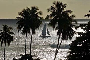 Wave Coast