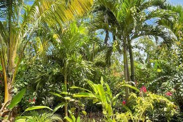 هاستل Judy House Cottages And Rooms