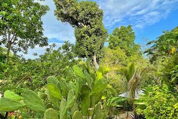 هاستل Judy House Cottages And Rooms