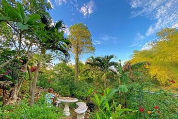 هاستل Judy House Cottages And Rooms