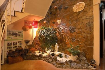 تختخواب و صبحانه Green Garden Homestay