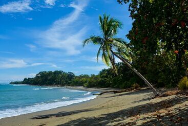 هتل Blue Osa Beach Resort & Spa