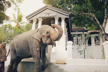 هتل The Secret Kandy