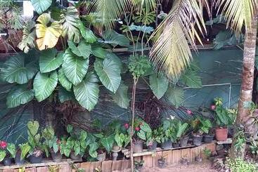 پانسیون Nooit Gedacht Holiday Resort Unawatuna