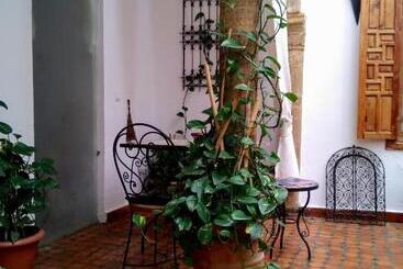 Riad El Bir