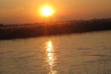 Parkland - Sauraha