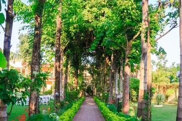 استراحتگاه Rainforest