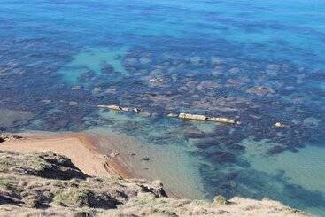 تختخواب و صبحانه Le Dune Beach