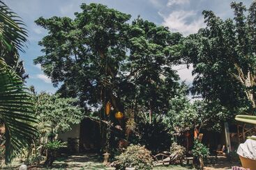 پانسیون Hibiscus Garden Resort