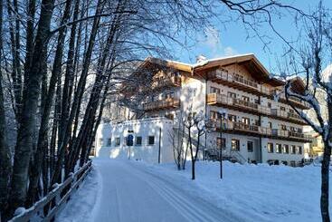 Park Hotel Avisio