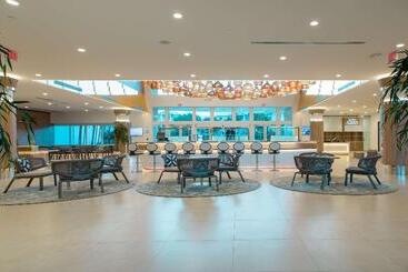 Hilton At Resorts World Bimini