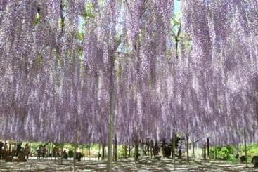 هتل Kyukamura Nasu