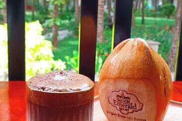 هتل Saigon Emerald Resort
