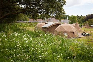 Durrell Wildlife Camp - Trinity